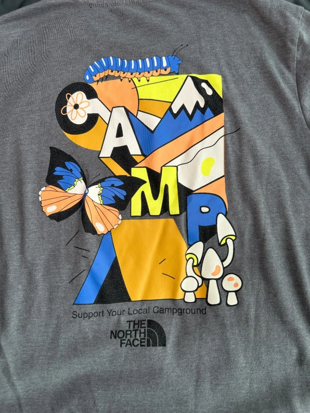 The North Face gray north